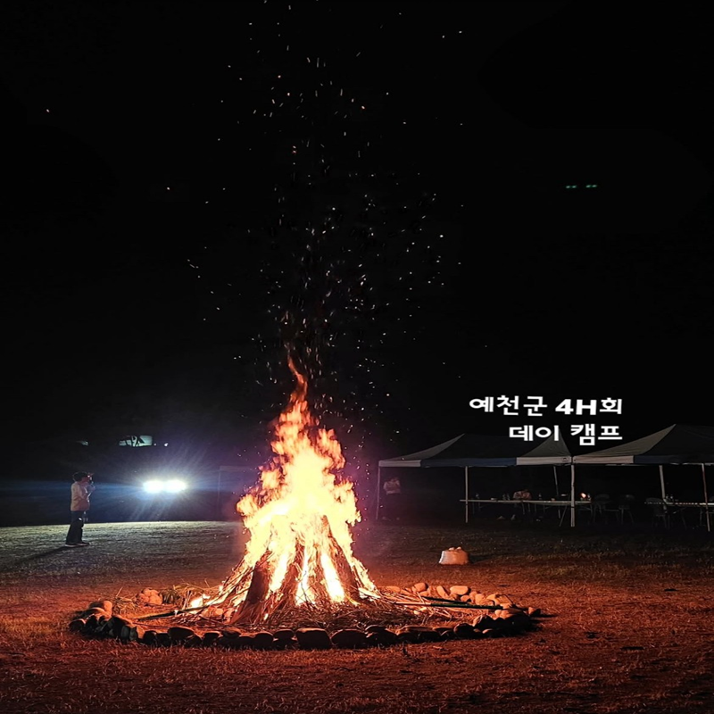 2025 예천군 4-H회 데이 캠프 이미지