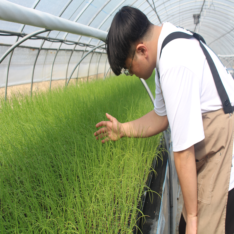 초록도감 예천육묘장 이미지